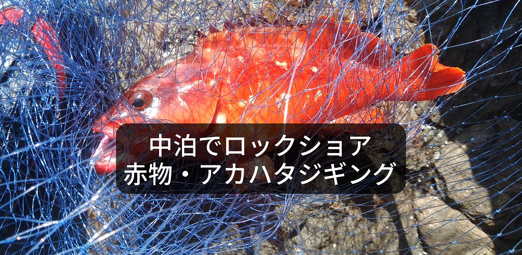 red grouper of nakadomari