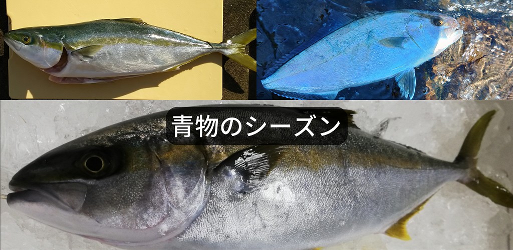 three types of fish
